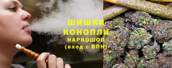 прущие грибы Балахна