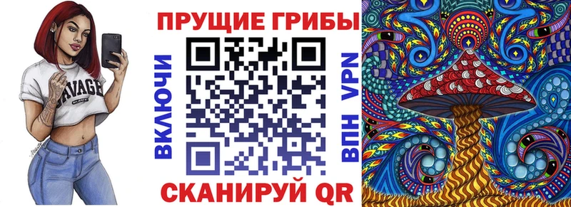 Псилоцибиновые грибы MAGIC MUSHROOMS  купить закладку  Сафоново 